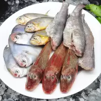 新鲜海杂鱼小鲳鱼 小黄鱼 小梭鱼 龙利鱼 石斑鱼 红头鱼 海鲜 1斤(尝鲜装 不划算)