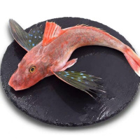 红娘子海鱼红头鱼海捕海鱼海鲜海产品鲜活生鲜红鱼红绣鞋 4斤(发7到9条)