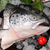 虹鳟三文鱼头鱼头新鲜超大冰鲜海鲜水产鲜活烧烤炖汤食材鱼头 当天现切三文鱼头(不去腮) 2只试吃装