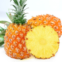 菠萝 新鲜当季水果凤梨手撕小波萝现摘应整箱批发 净重3斤[中果]