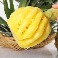 [送菠萝刀]泰国香水小菠萝5斤迷你菠萝新鲜热带水果非 凤梨
