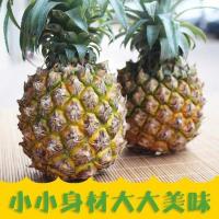 云南香水菠萝当季新鲜水果批发带箱 实惠:带箱9.5-10斤中果