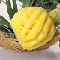 新鲜大菠萝水果徐闻菠萝的海大果菠萝蜜香脆甜爽凤梨菠萝菠萝 带箱约10斤大菠萝(4-6个)+送刀