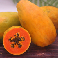 [包熟]红心冰糖木瓜现摘新鲜水果牛奶木瓜非酸木瓜 带箱9-10斤中大果[强烈推荐]