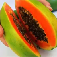 树上熟红心牛奶木瓜 新鲜 现摘现发 非雷州木瓜 冰糖木瓜批发 买5斤送5斤(带箱10斤)推荐