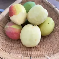 木瓜 酸木瓜新鲜水果酸木瓜泡酒生吃闻香做菜炖排骨 3斤不送辣椒面