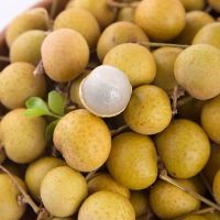 [去枝净果]龙眼新鲜 1-5斤装当季新鲜水果桂圆整箱批发 5斤水果净重 泡沫箱冰袋保鲜