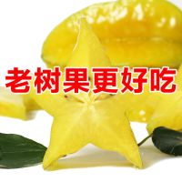 老树爆汁新鲜甜杨桃水果应季桃台湾红杨桃洋五角星批发 老树精品大果12个装(5-6斤)