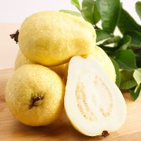 [精选品质 ]软芭乐果红心番石榴白心新鲜水果2.5斤-5斤 5斤白肉软糯芭乐