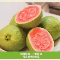 【送酸梅粉】当季红心芭乐番石榴新鲜水果 红心芭乐番石榴5斤装（推荐）