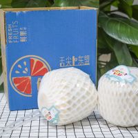 正宗泰国新鲜椰青果冻椰子奶当季清甜新鲜水果 批发 2个[送开椰器]单果700-900g 清甜椰肉爽口[