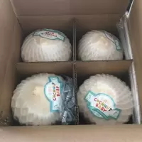 新鲜椰青果冻椰子奶当季清甜新鲜水果 批发 4个[送开椰器]单果700-900g 清甜椰肉爽口[