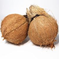 海南老椰子新鲜去皮营养水果炖汤水果坏果包赔 2个装老椰子(送开口器送吸管)