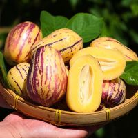 石林人参果长寿果圆果长果 现摘当季新鲜水果批发 特大果3斤(长果)