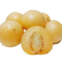 石林人参果长寿果黄肉 人生果新鲜应季水果 迷你小圆果3斤