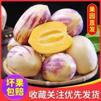 石林人参果长寿果黄肉 人生果新鲜应季水果 特大香果8斤[长果]