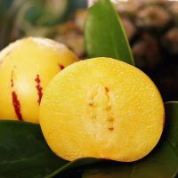 [圆果好吃]石林人参果 新鲜应季黄肉水果 3斤圆中果[泡沫箱]净重