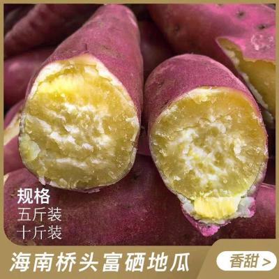 [精品]澄迈沙地桥头富硒地瓜新鲜红薯桥沙板栗薯2/10斤