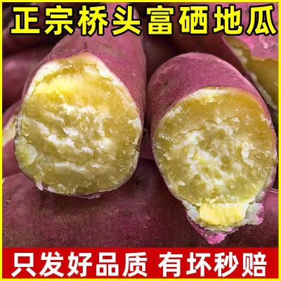 [精品]澄迈沙地桥头富硒地瓜新鲜红薯桥沙板栗薯3/10斤