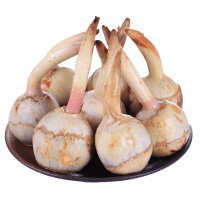 新鲜白慈姑茨菰茨菇白马蹄鲜慈姑5斤粉糯荸荠新鲜蔬菜