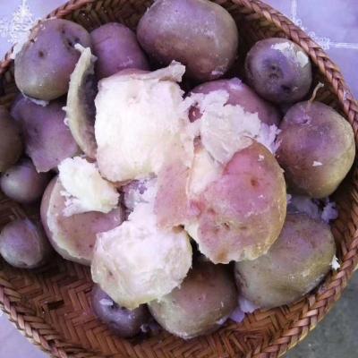 四川大凉山特产七彩洋芋农家自种乌土豆紫皮紫心马铃薯