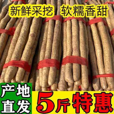 新鲜正宗铁棍山药小白嘴麻山药5斤1-3斤淮山药粉糯 挖现卖