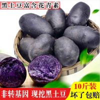 新鲜现挖黑土豆马铃薯蔬菜大紫土豆黑金刚蔬菜黑美人洋芋3/5/9斤