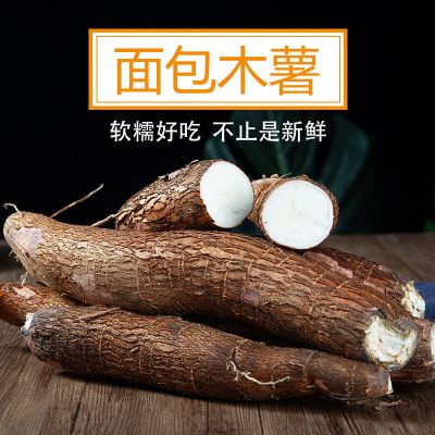 新鲜面包木薯农家粉糯甜板栗蜜薯现挖白肉特产面包木薯