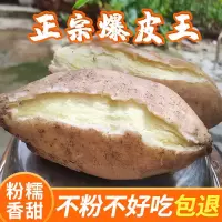 新鲜高州爆皮王番薯板栗红薯现挖栗子白心干面农家自种粉地瓜