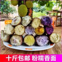 爆皮王番薯 冰淇淋地瓜 千里香板栗薯鸡蛋王红薯紫薯混合