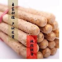 正宗小白嘴垆土铁棍山药正宗铁杆新鲜蔬菜淮山药新鲜山药批发