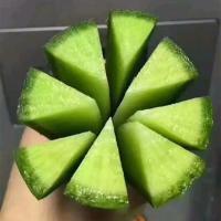 正宗水果萝卜新鲜5斤青萝卜特产水果非沙
