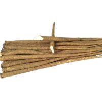 牛蒡根新鲜5斤兰陵现挖2021苍山农产正品黄金牛榜膀茶片原料