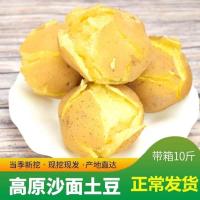 现挖新鲜土豆批发10/5斤装洋芋马铃薯黄心精品土豆新鲜蔬菜