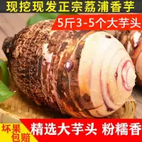 荔浦芋头新鲜现挖当季香芋新鲜槟榔紫藤芋头1斤/3斤/5斤/9斤