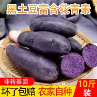西北特产新鲜现挖黑土豆黑金刚蔬菜马铃薯黑美人3/5/9斤