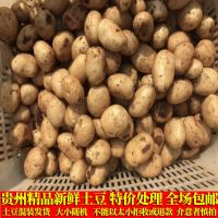 小土豆马铃薯新鲜现挖精品土豆新鲜洋芋批发3斤/5斤/9斤