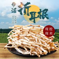 鱼腥草现挖新鲜凉拌折耳根节节根嫩根嫩芽