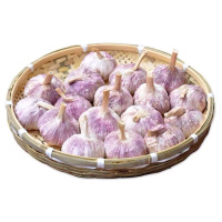 [特大]大蒜头批发干蒜紫白皮大蒜种子新鲜3/5/10斤整箱批发价