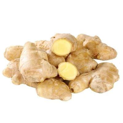 大姜散装老姜调味鲜姜生姜蔬菜大黄姜月子姜生鲜姜