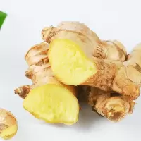 新鲜大姜老姜母生姜月子姜黄姜现挖沙食用特产蔬菜带泥大片姜