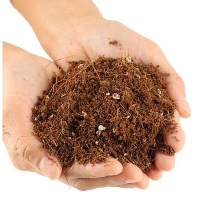 幸福树专用土5斤装 绿植盆栽土通用营养土室内养花椰糠泥炭土肥料