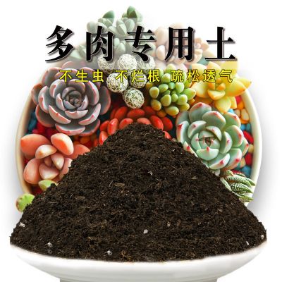 多肉专用土多肉土盆栽植物营养土壤肉肉种植土肥料通用花土