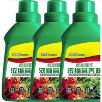 超浓缩植物营养液花肥通用化肥料家用绿植盆栽绿萝叶黄富贵竹