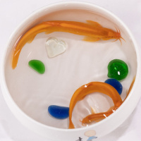 黄金泥鳅观赏鱼清道夫垃圾鱼金龙冷水耐活好养观赏泥鳅发财鱼 16-20厘米4条+1包饲料