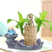 水培幸运大型巴西木格鲁特树人开花桌摆阳台盆栽绿植礼物款和尚