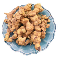 鲜黄精生新鲜老虎姜黄金九华山辟谷正品鸡头黄精500g泡茶水酒