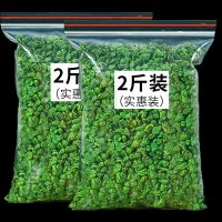 霜后桑叶茶桑叶茶冬桑葚叶非纯正品天然干桑树叶新鲜老树桑叶