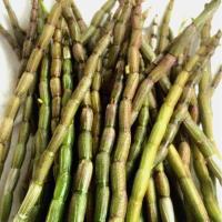 粗壮新鲜铁皮石斛鲜条 仿非霍山枫斗干条花免费磨粉 挑选款现剪新鲜铁皮石斛鲜条250克