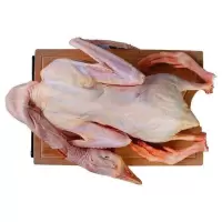 (顺丰)农家散养新鲜大鹅超大鹅肉鹅掌大白鹅活体冷冻非老鹅 杀完6.6斤大白鹅